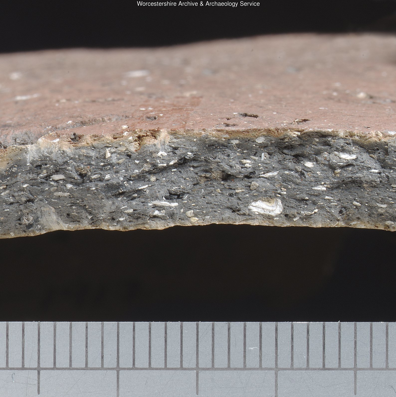 Worcestershire Ceramics online database