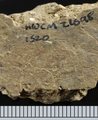 F005 8b