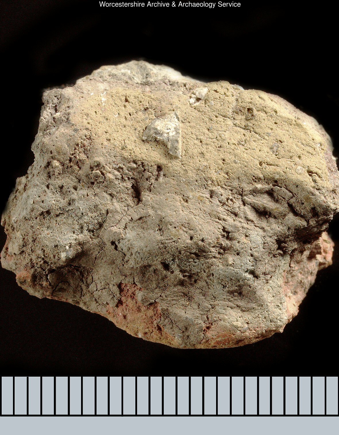 Worcestershire Ceramics online database