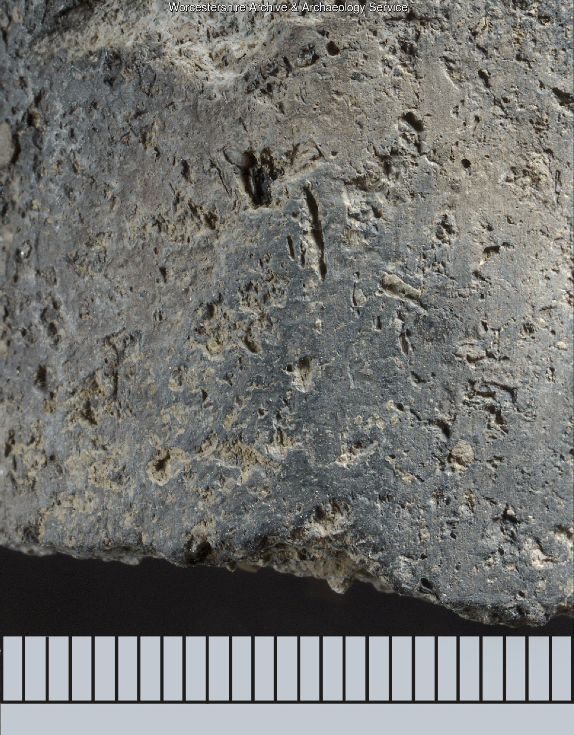 Worcestershire Ceramics online database