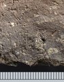 F004 3b