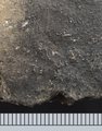 F004 3c