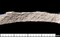 F81 2 croppedscale