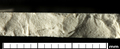 Fabric 81.5 croppedscale